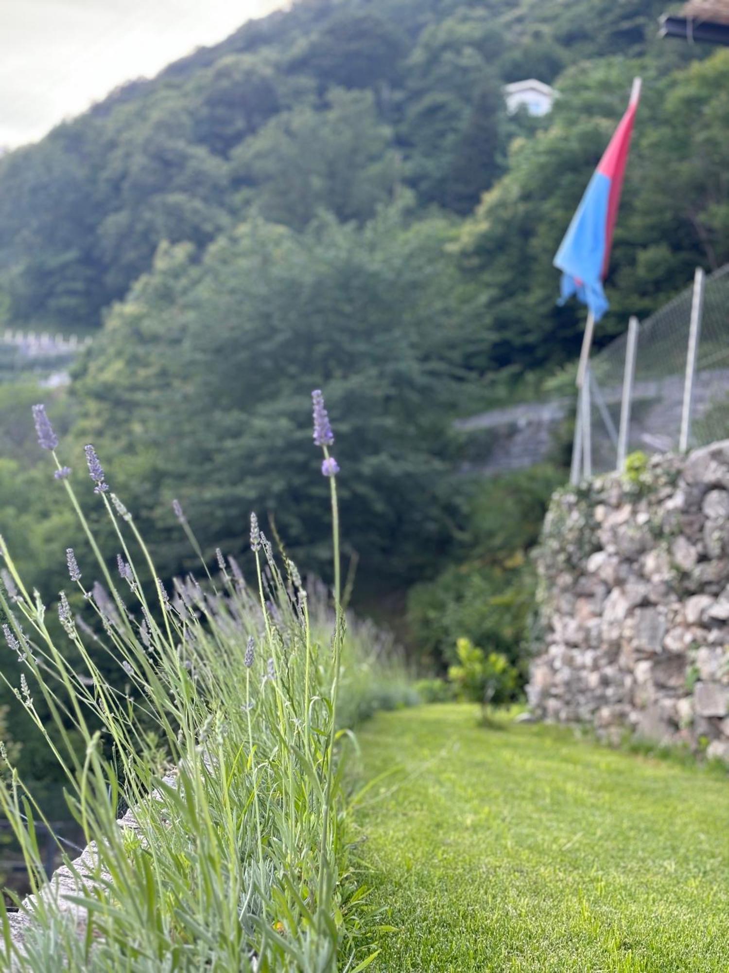 Ca'Gialla Bellinzona Exteriér fotografie